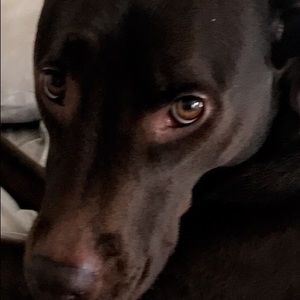 Meet your Posher, Francisco